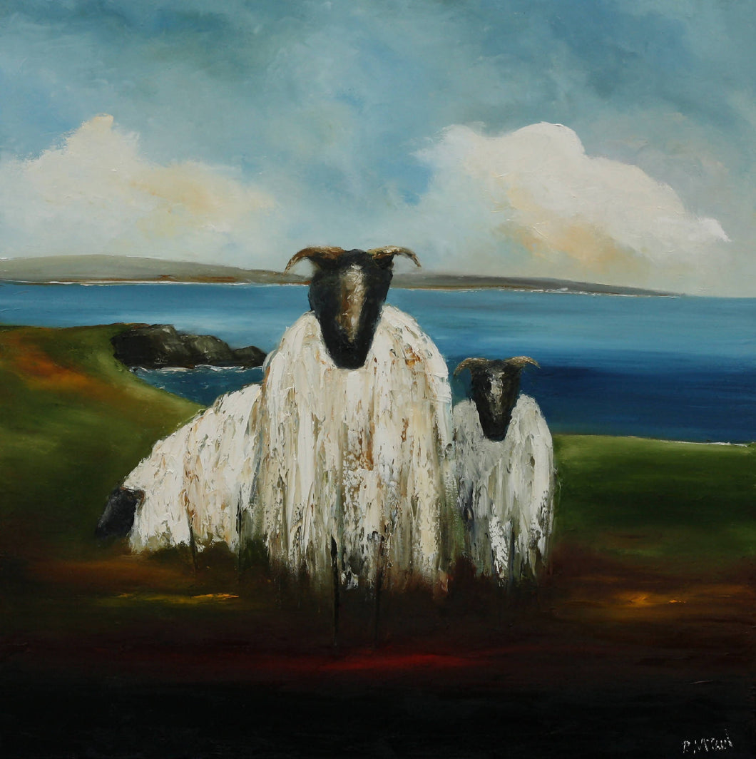 Wild Atlantic Sheep - Fine Art Print