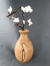 Load image into Gallery viewer, Bud / Twig Vase
