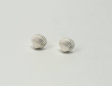 Load image into Gallery viewer, Cockle Shell Stud Earrings
