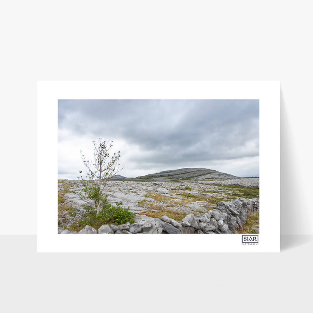 Mullaghmore | The Burren