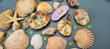 Load image into Gallery viewer, &#39;Sea Shells&#39;
