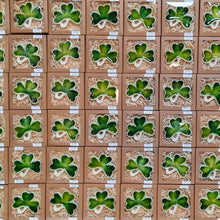 Load image into Gallery viewer, Ceramic Shamrock Wall Ornament
