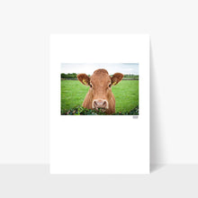 Load image into Gallery viewer, Rua The Cow
