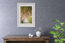 Load image into Gallery viewer, &quot;The Dark Hedges&quot; - photographic print
