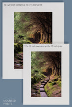 Load image into Gallery viewer, &quot;Ballinstoe Wood&quot; - photographic print
