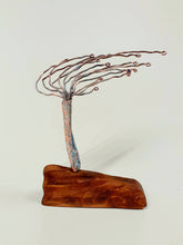 Load image into Gallery viewer, Wild Atlantic Tree
