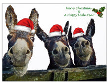 Load image into Gallery viewer, Happy Christmas &amp; A Happy Mule Year-The Greeting Card
