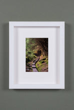 Load image into Gallery viewer, &quot;Ballinstoe Wood&quot; - photographic print
