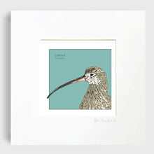 Load image into Gallery viewer, NEW Seabird Print: Curlew
